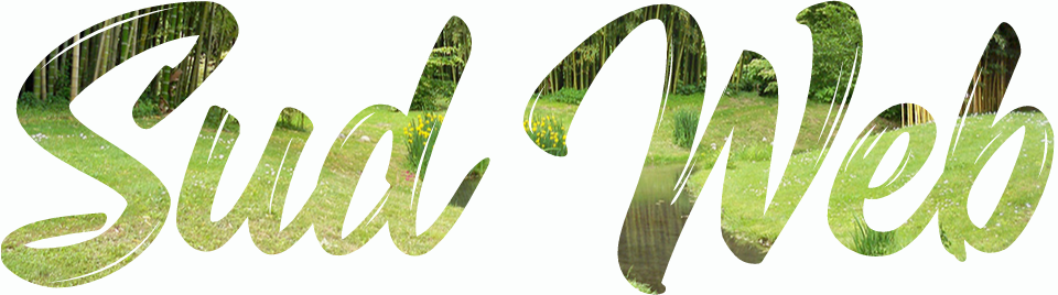 Sud Web